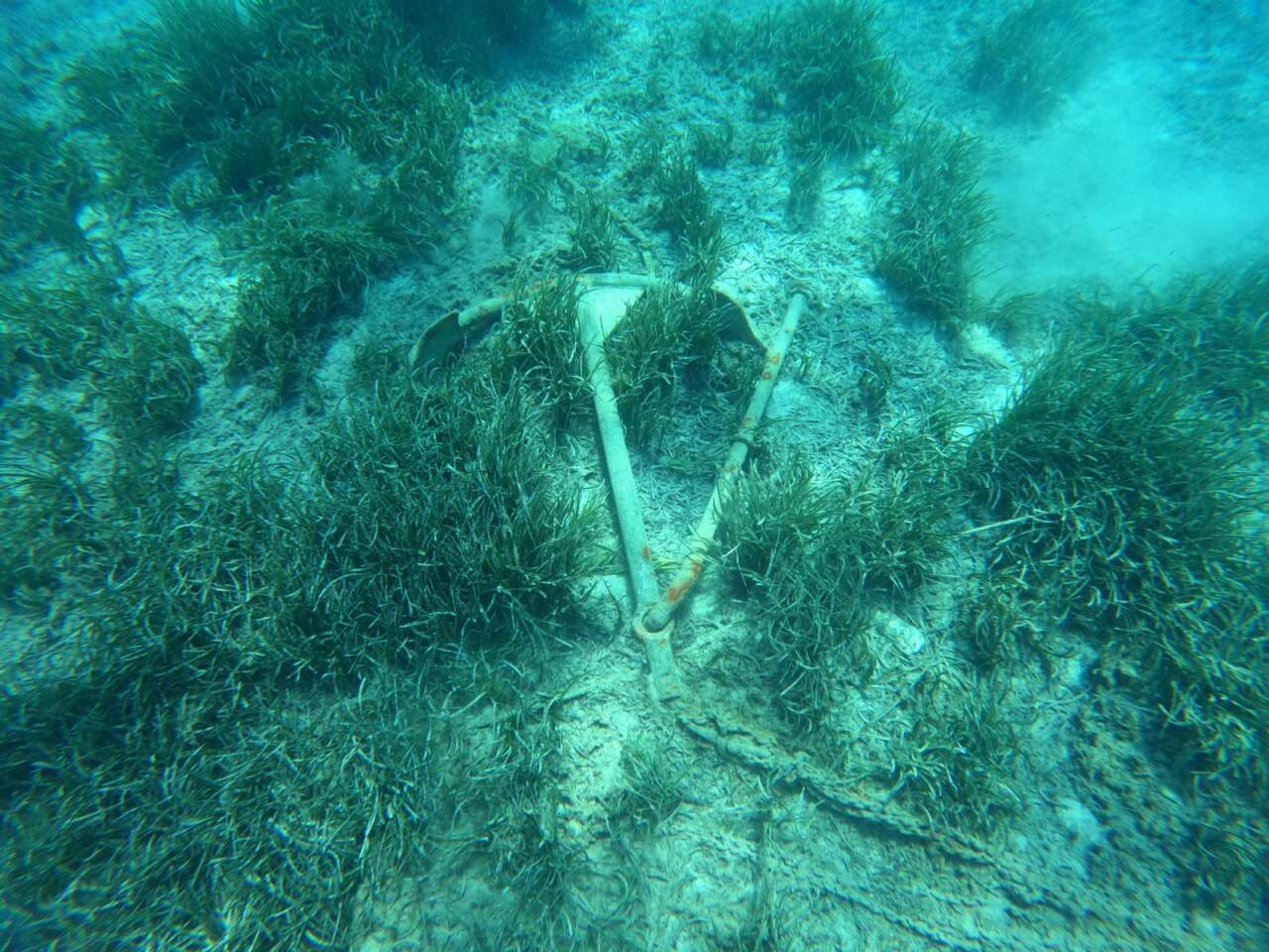 Bodrum'un Altındaki Gizli Dünya İlk Kez Bu Kadar Net Görüntülendi 1